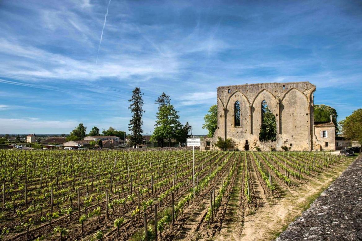Maison Cosy Avec Vue Sur Les Vignes. Holiday home *