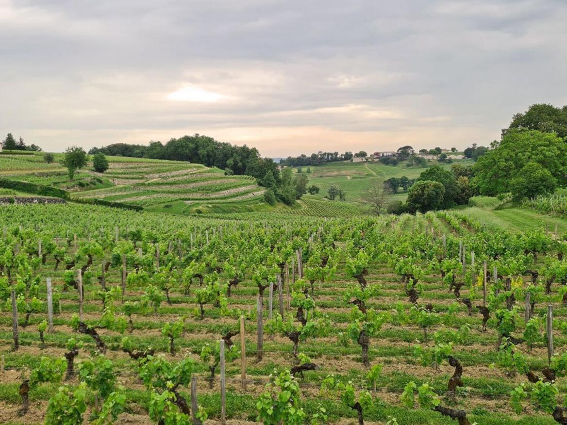 Maison Cosy Avec Vue Sur Les Vignes. Holiday home Libourne