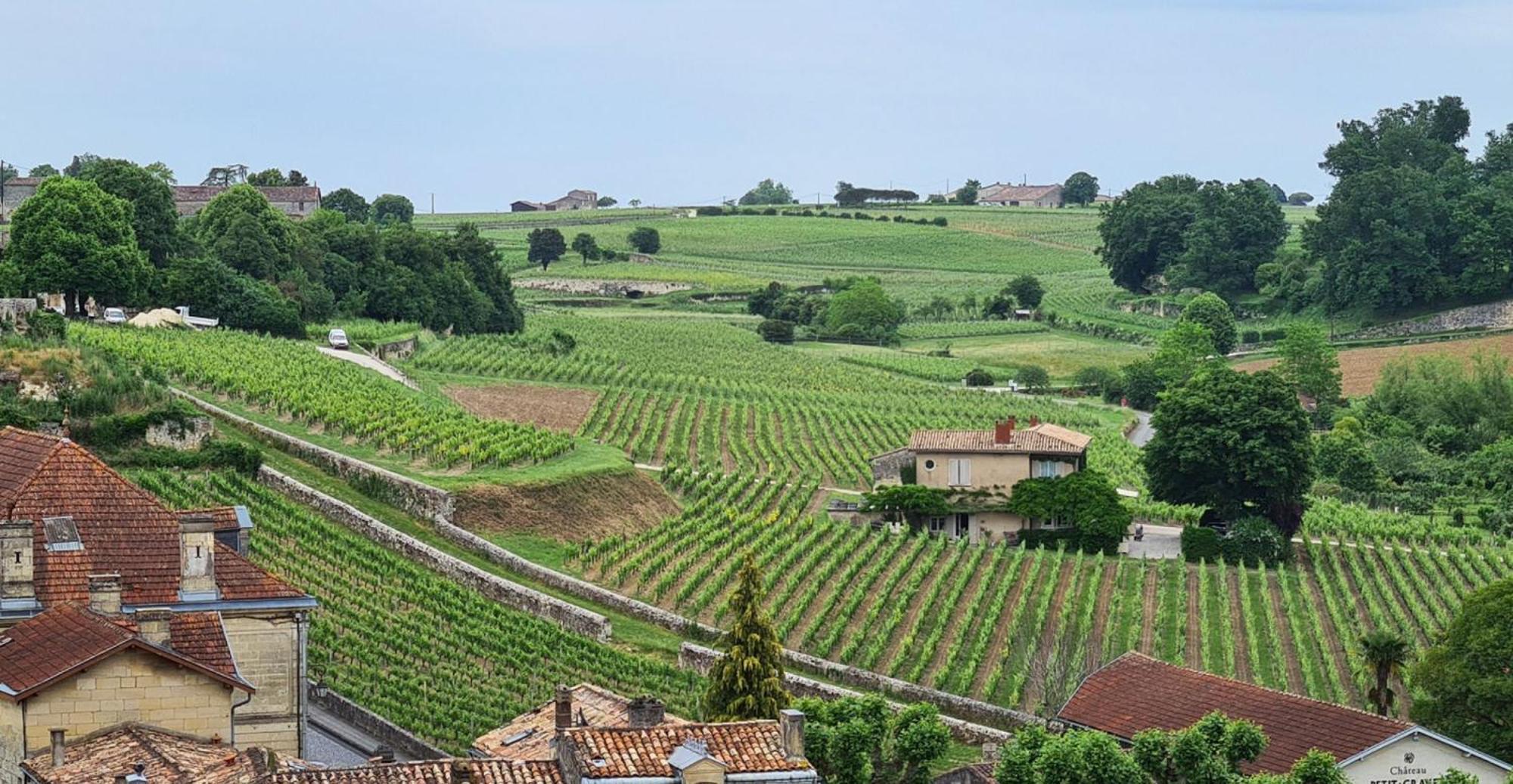 Maison Cosy Avec Vue Sur Les Vignes. Holiday home *