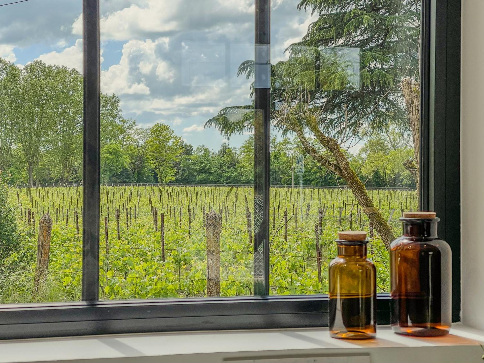 Maison Cosy Avec Vue Sur Les Vignes. Holiday home